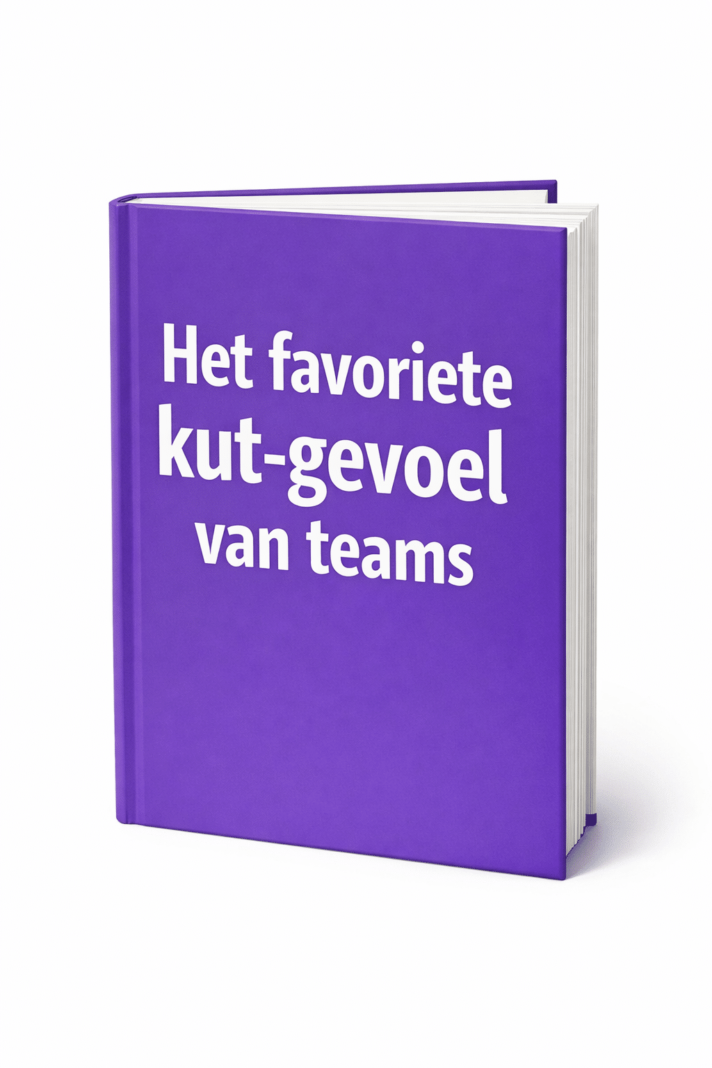 Boek Het Favoriete K*t-gevoel van Teams